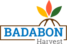 Badabon Logo